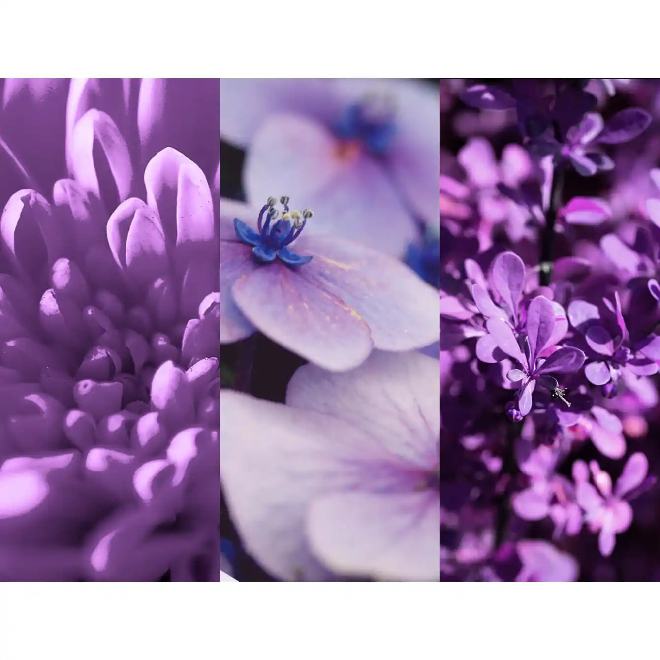 8x4 Deodorant spray N°4 Vibrant Flower 150 ml